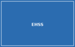 Essential Health and Social Supports (EHSS) Essential Health and Social Supports (EHSS)
